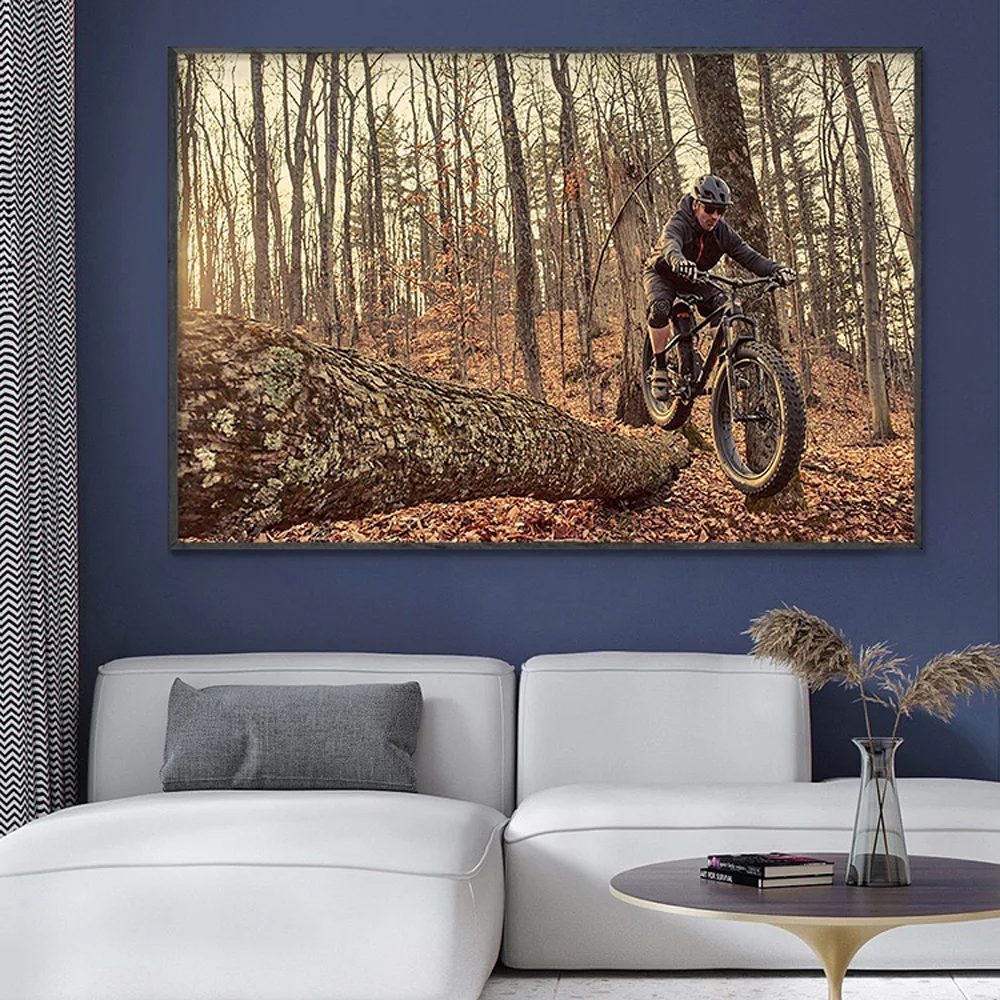 SP082 Silk Cloth Wall Poster M - Mountain Biking Movies บทวิจารณ์และราคา