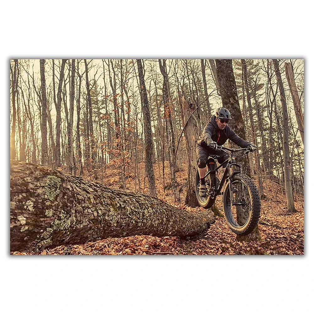 SP082 Silk Cloth Wall Poster M - Mountain Biking Movies บทวิจารณ์และราคา