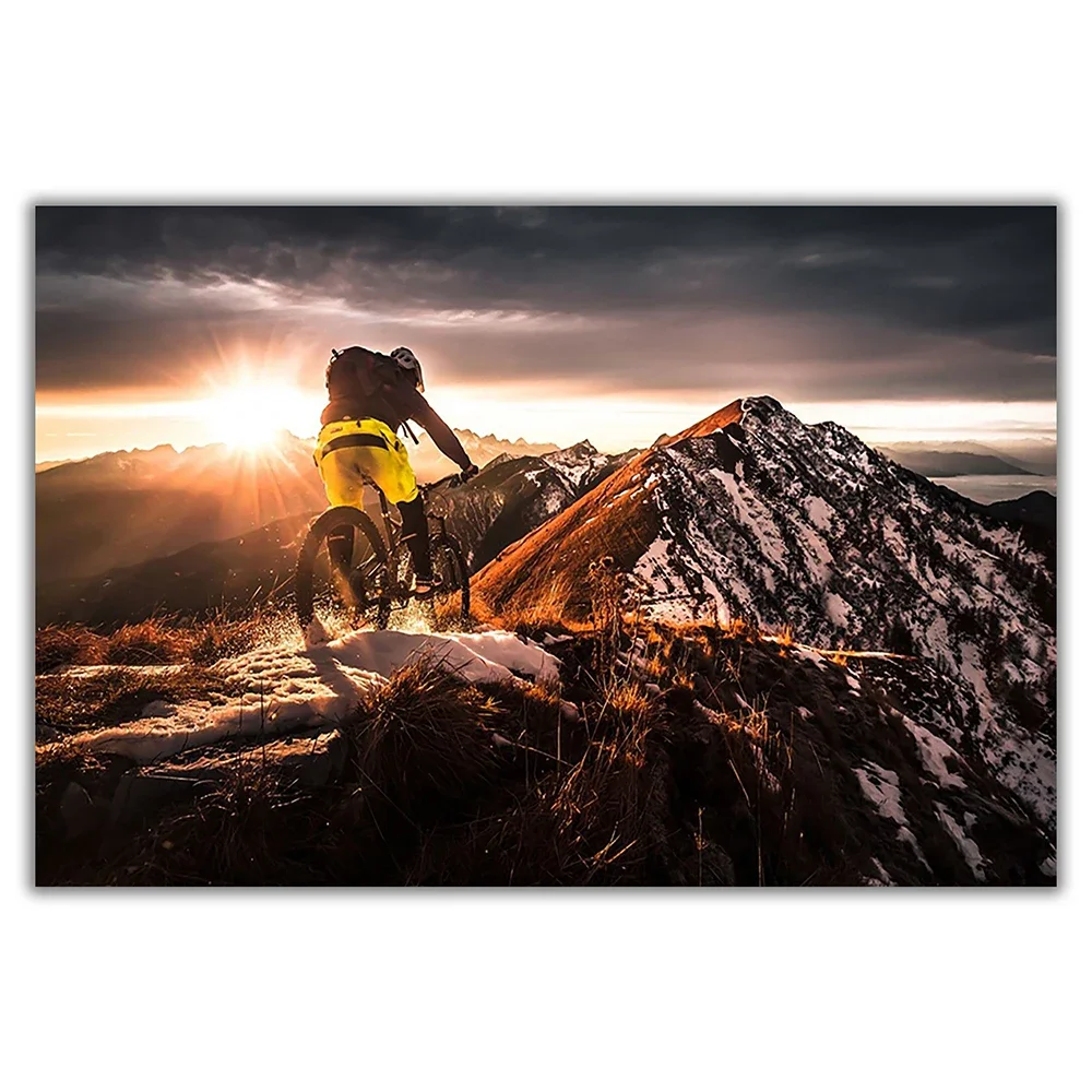 SP080 Silk Cloth Wall Poster M - Mountain Biking Movies บทวิจารณ์และราคา